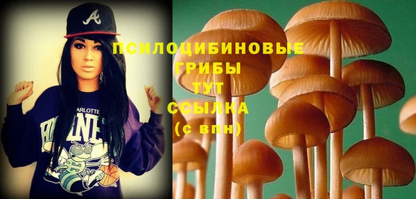 MDMA Медвежьегорск