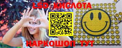 ГАЛЛЮЦИНОГЕННЫЕ ГРИБЫ Кандалакша