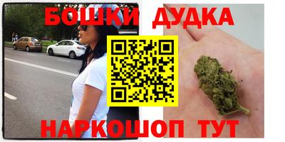 ECSTASY Камышлов