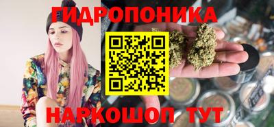 шишки Канаш