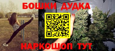 ECSTASY Камышлов