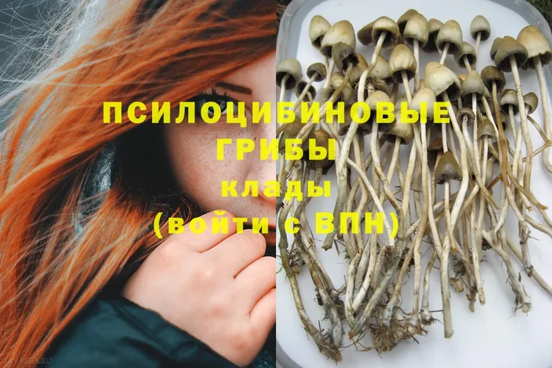 Псилоцибиновые грибы MAGIC MUSHROOMS  наркота  Партизанск 