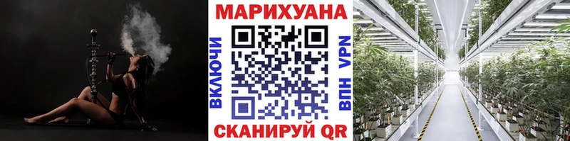Шишки марихуана марихуана  купить наркотики сайты  Партизанск 